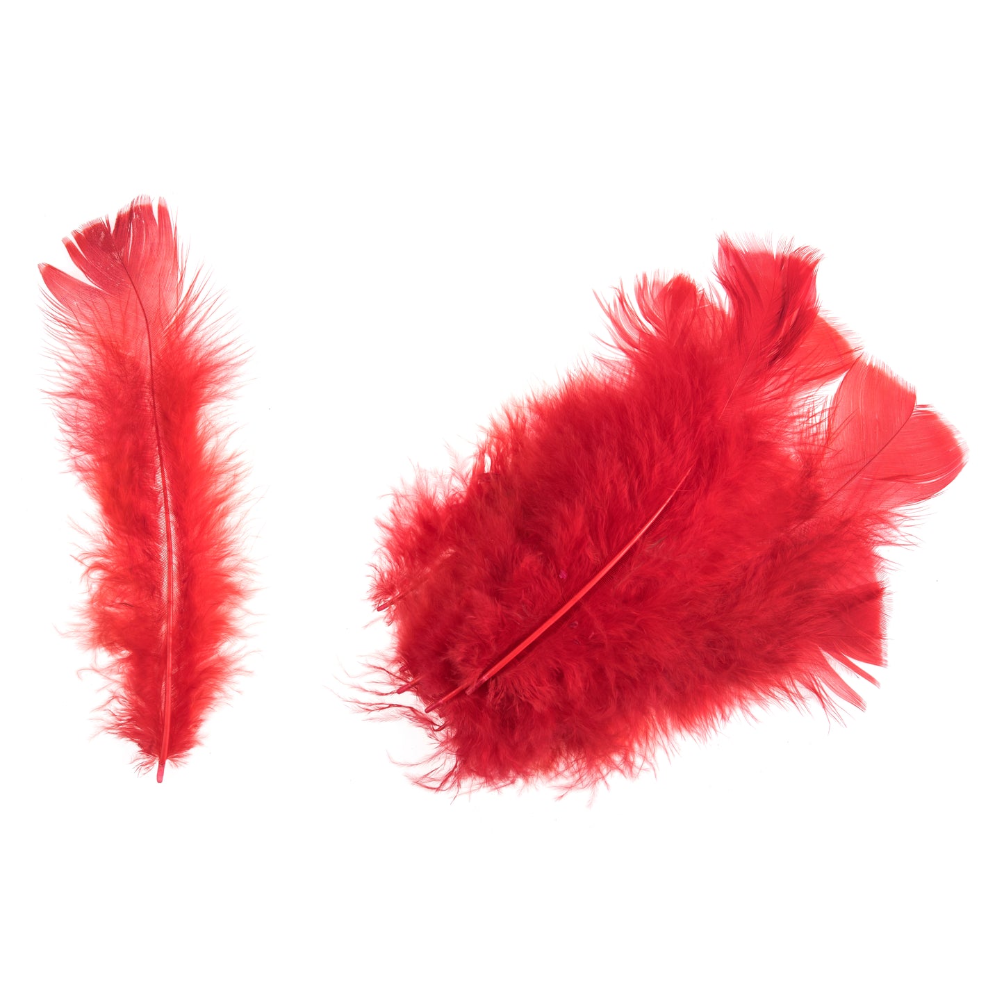 Turkey Feathers Red