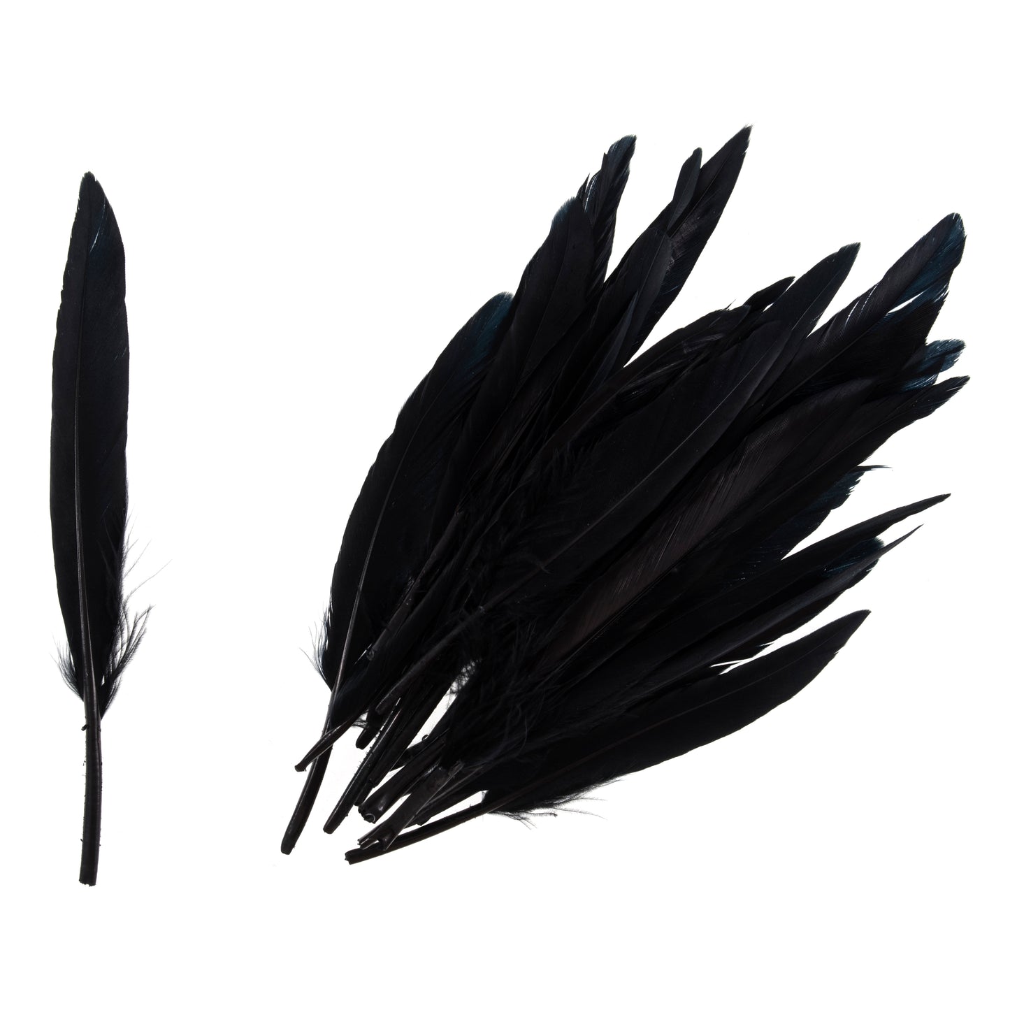 Duck Feathers Black