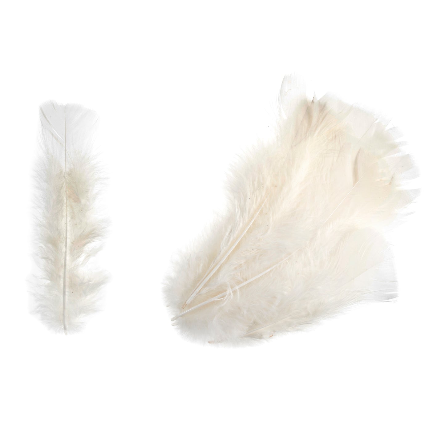 Turkey Feathers Cream