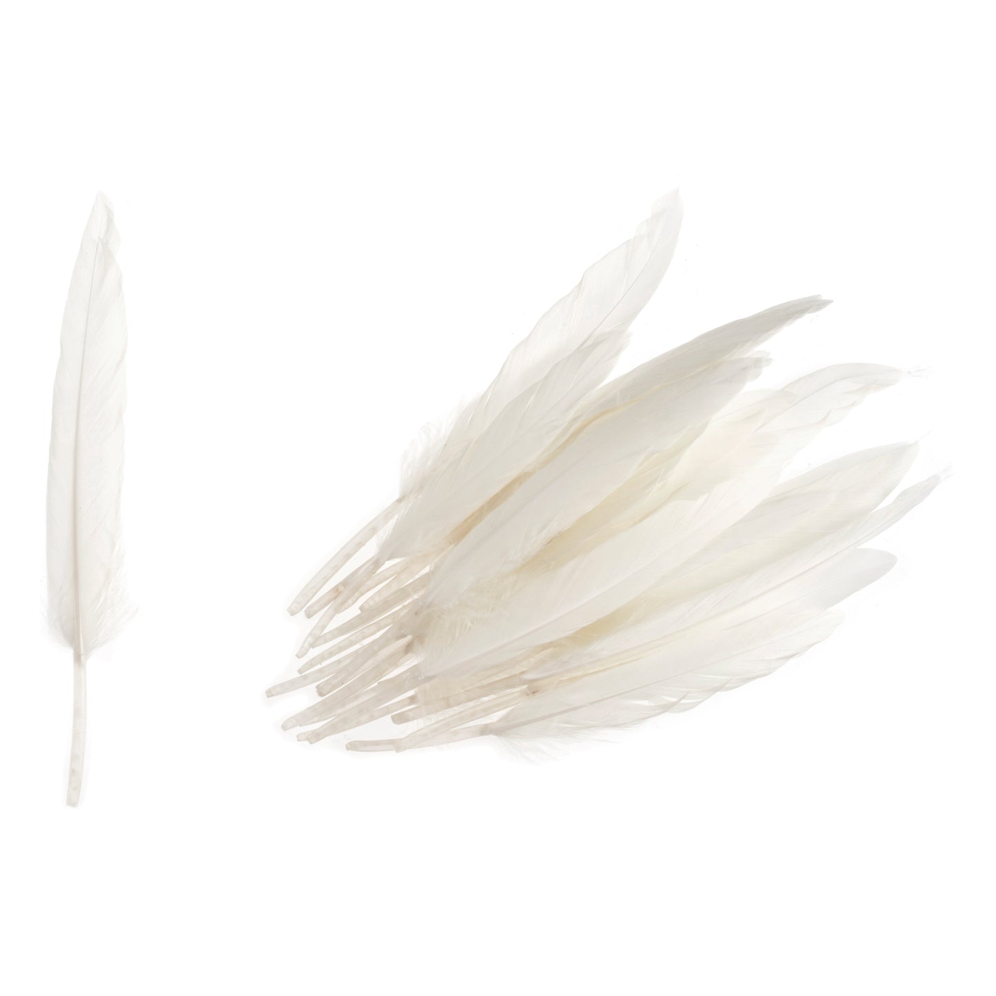 Duck Feathers White