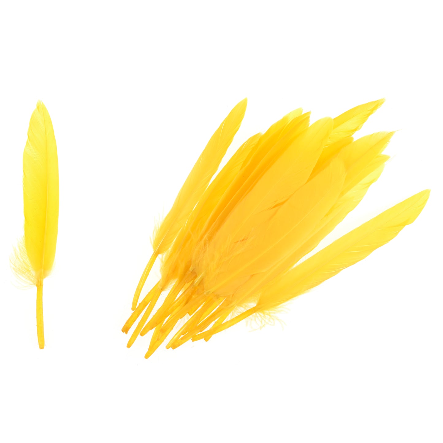 Duck Feathers Yellow
